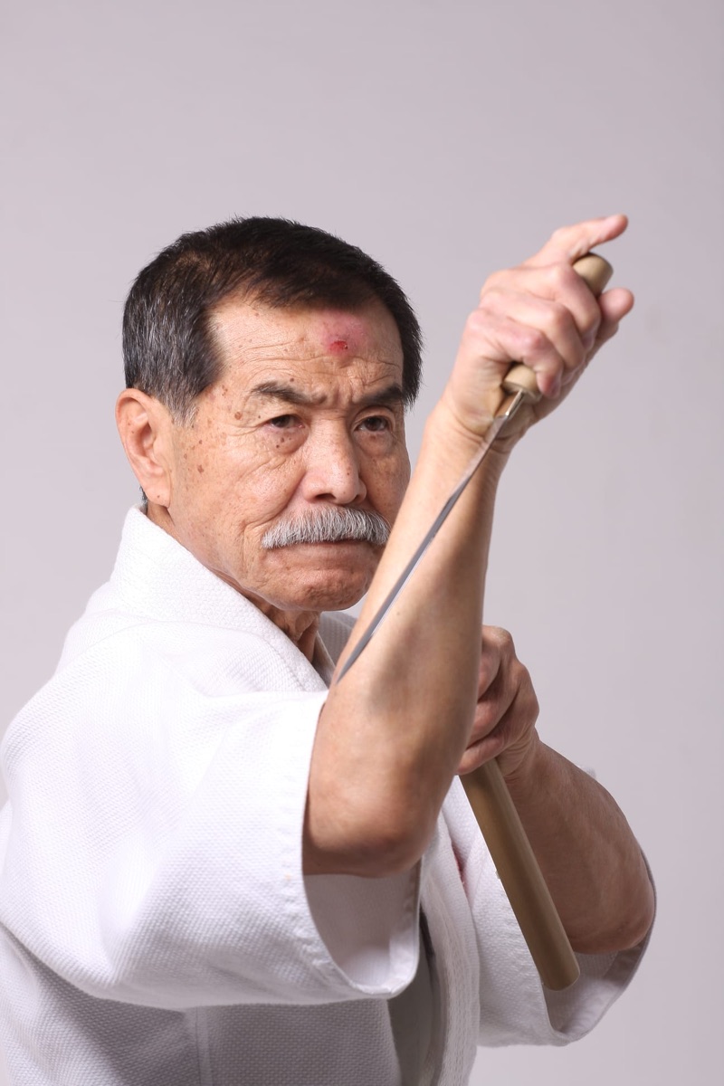 Velmistr Koshiro Tanaka — Hiko-ryu Taijutsu