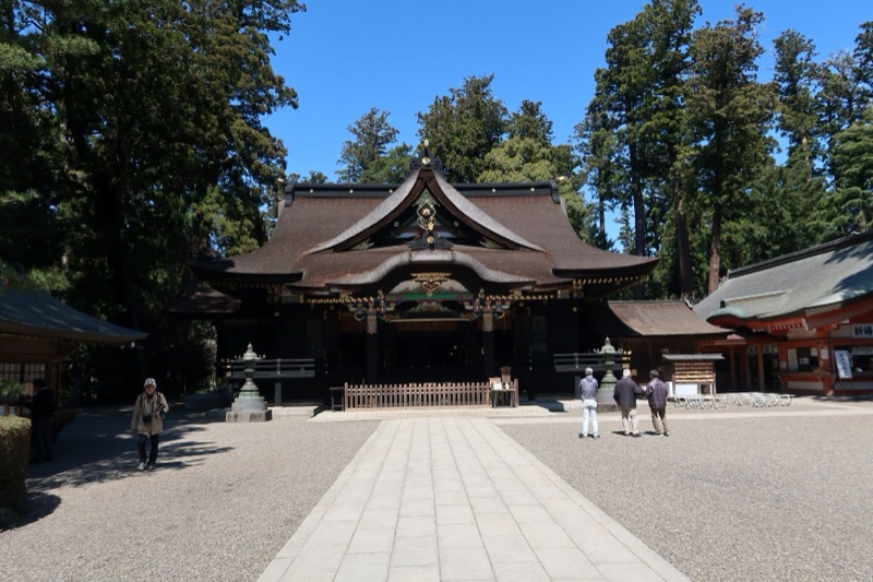 Český tým Hiko-ryu v Japonsku, 2019