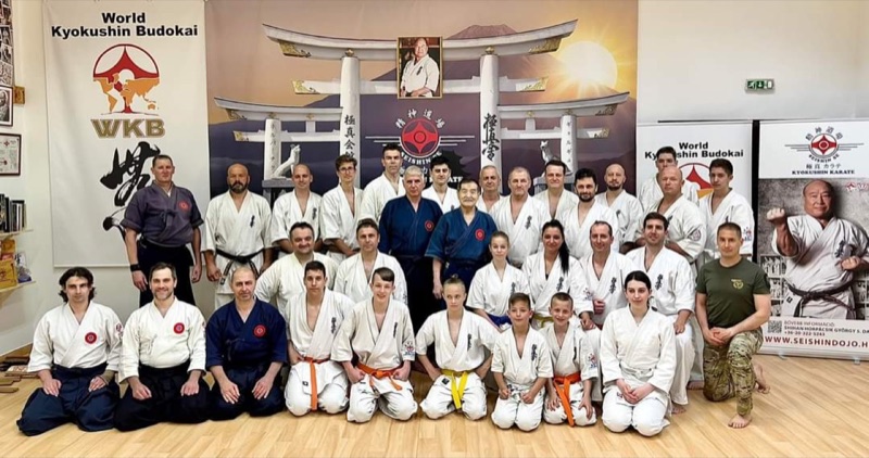 Setkání s velmistrem Tanakou v budapešťském Seiken dojo