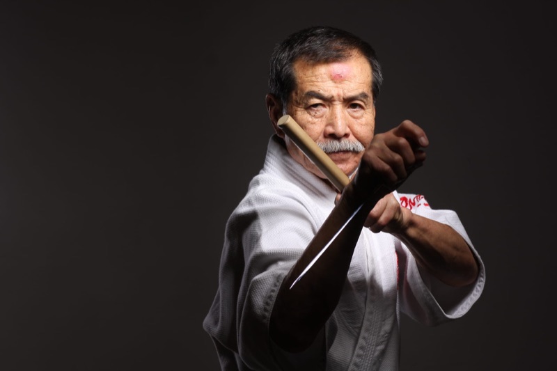 Velmistr Koshiro Tanaka — Hiko-ryu Taijutsu