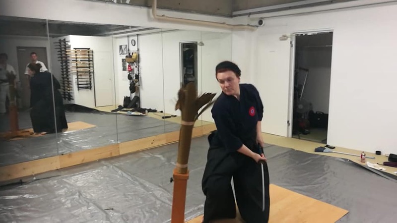Příprava na zkoušky, Hiko-ryu Taijutsu